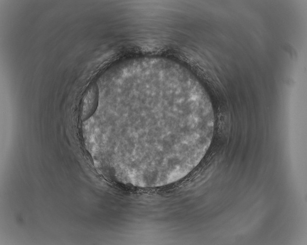 X0000112031249200908311208