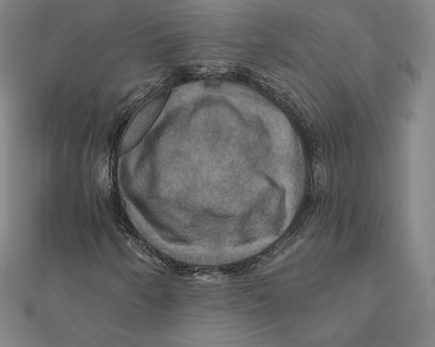 X0000112031250200908311208