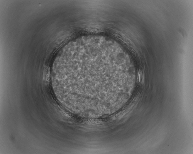X0000112031251200908311208