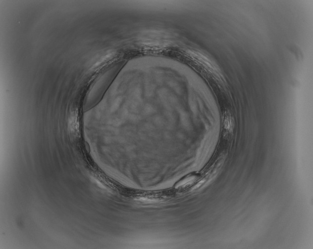 X0000112031252200908311208