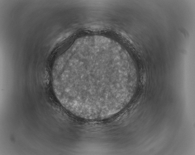 X0000112031253200908311208
