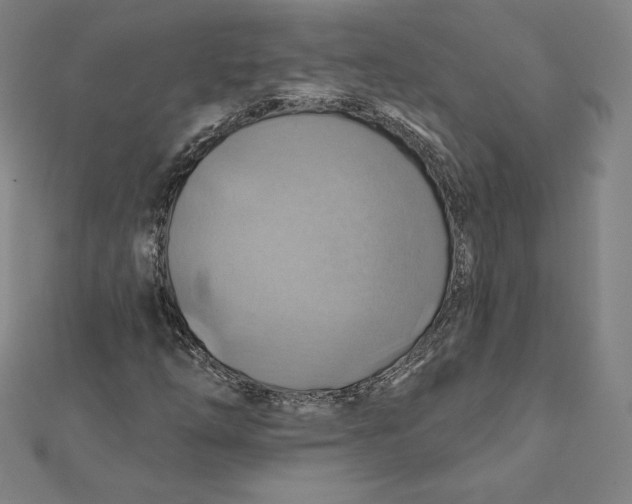 X0000112031254200908311208