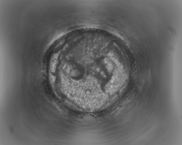 X0000112031255200908311208