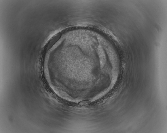 X0000112031256200908311208