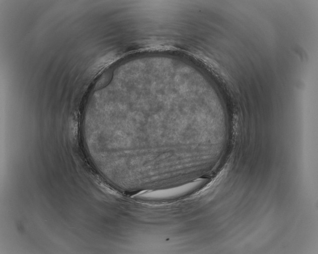 X0000112031257200908311208