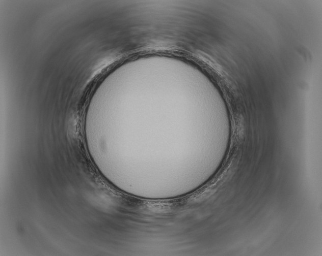 X0000112031258200908311208