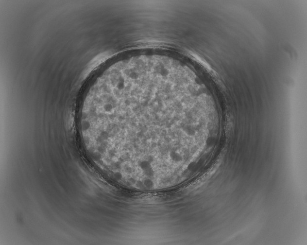 X0000112031259200908311208