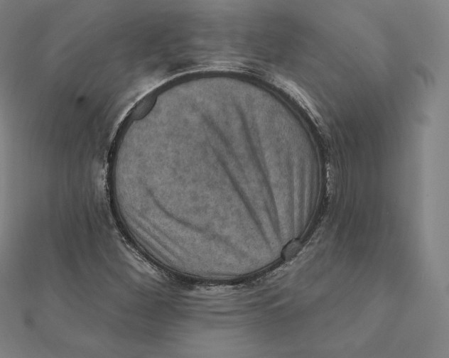 X0000112031260200908311208