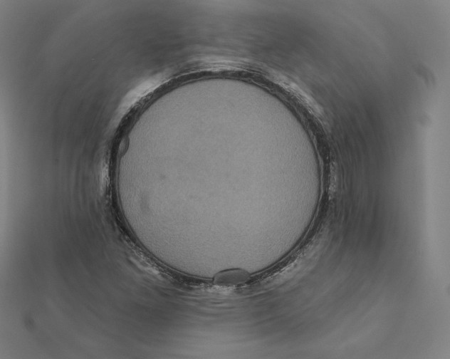 X0000112031261200908311208