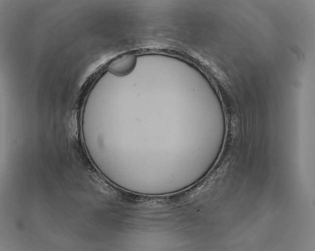 X0000112031262200908311208