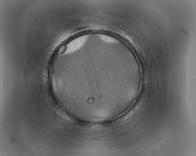 X0000112031263200908311208