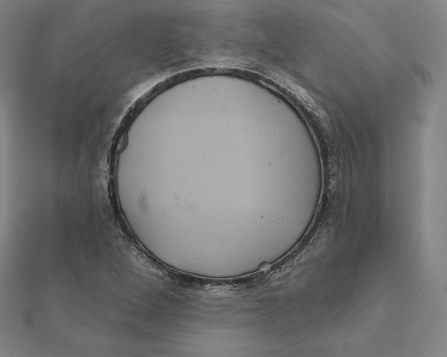 X0000112031264200908311208