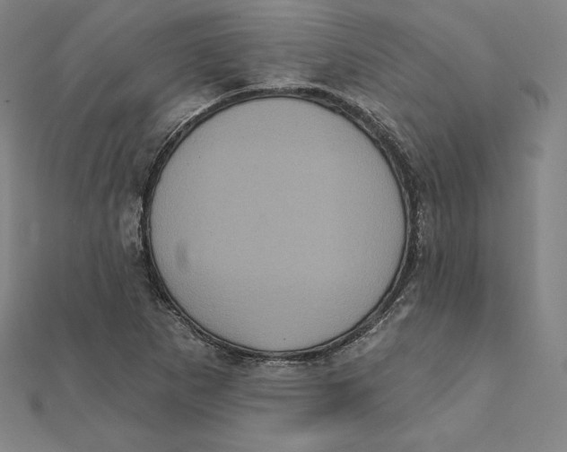 X0000112031265200908311208