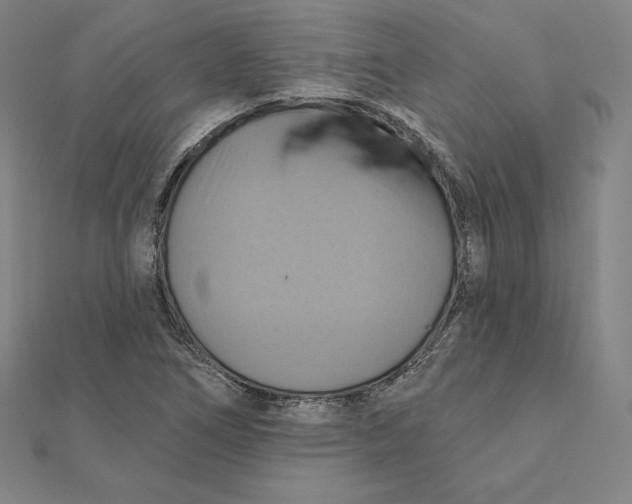 X0000112031266200908311208