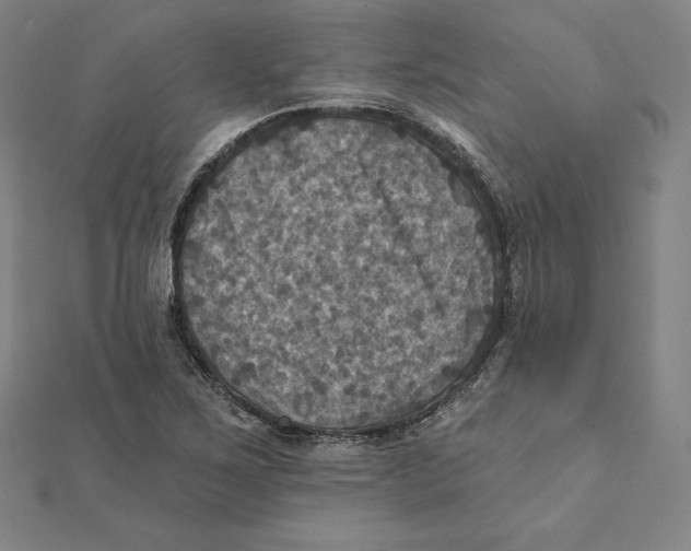 X0000112031267200908311208