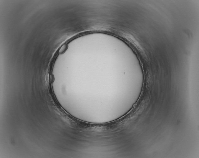 X0000112031268200908311208