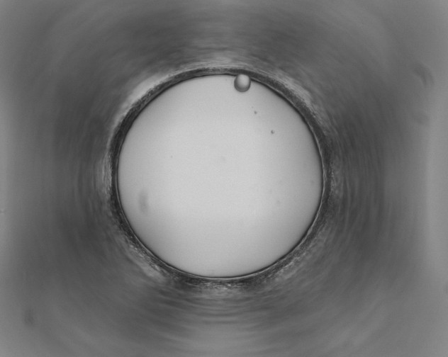 X0000112031270200908311208
