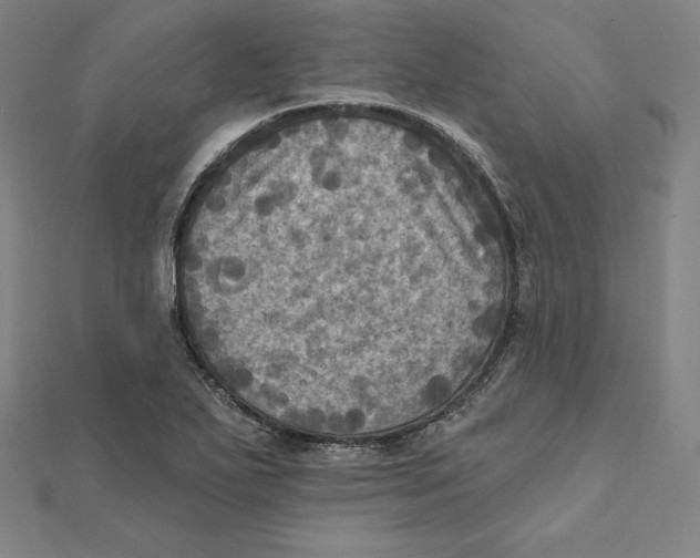 X0000112031271200908311208