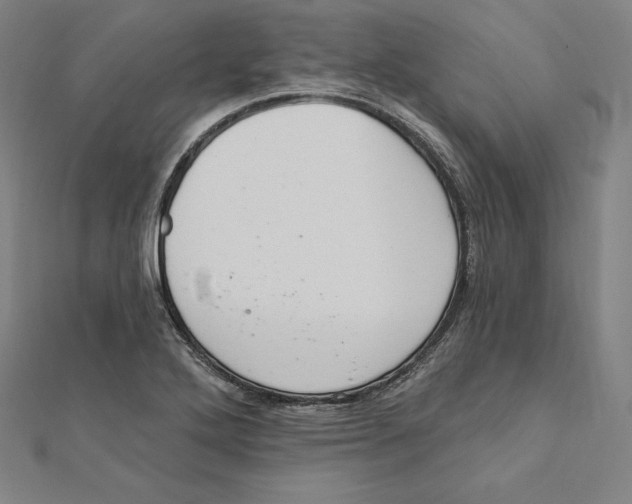 X0000112031272200908311208