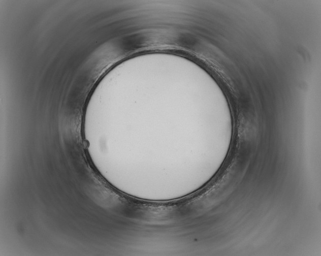X0000112031273200908311208