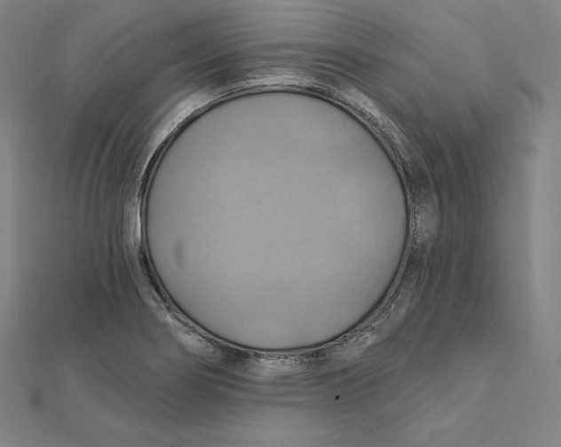 X0000112031274200908311208