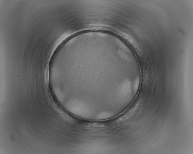 X0000112031275200908311208