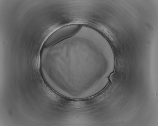 X0000112031276200908311208