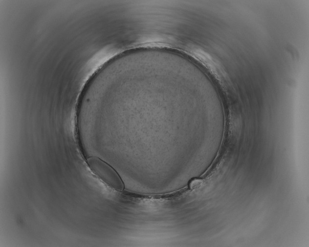 X0000112031277200908311208