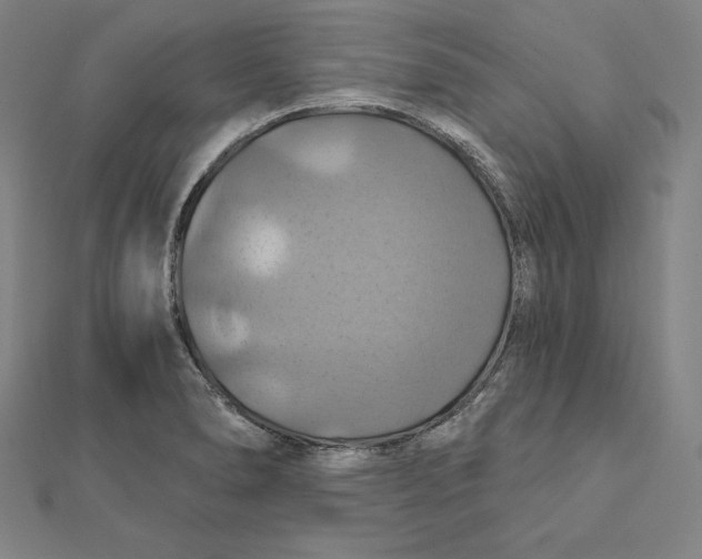 X0000112031278200908311208