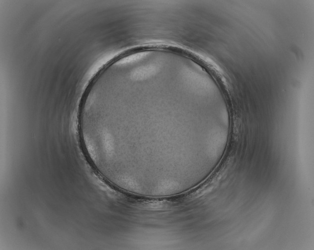 X0000112031279200908311208