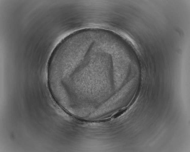 X0000112031280200908311208