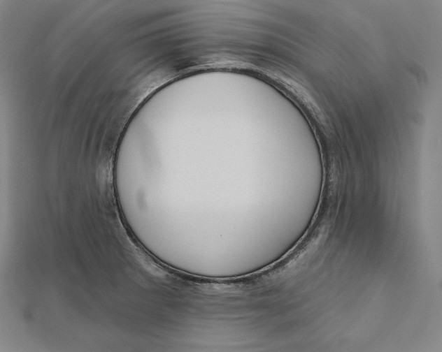 X0000112031281200908311208