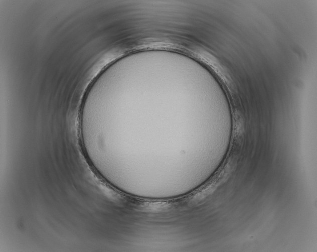 X0000112031282200908311208