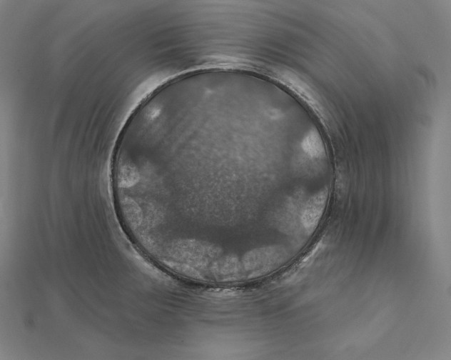 X0000112031283200908311208