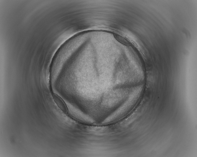 X0000112031284200908311208