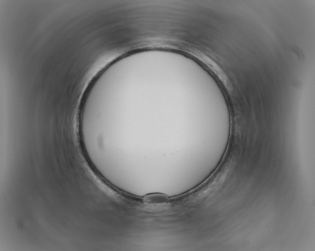 X0000112031285200908311208