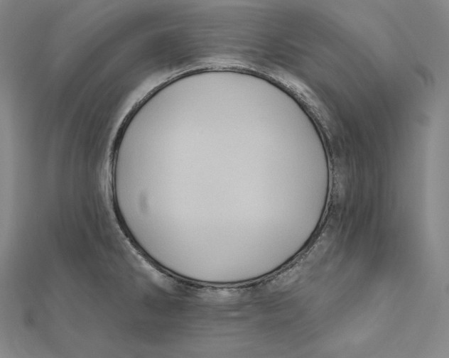 X0000112031286200908311208