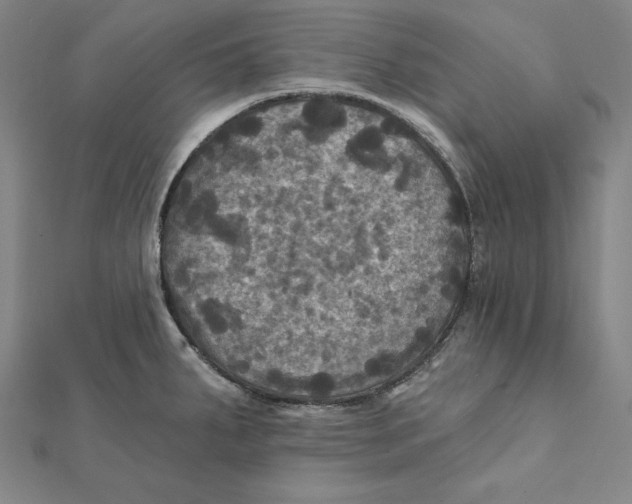 X0000112031287200908311208