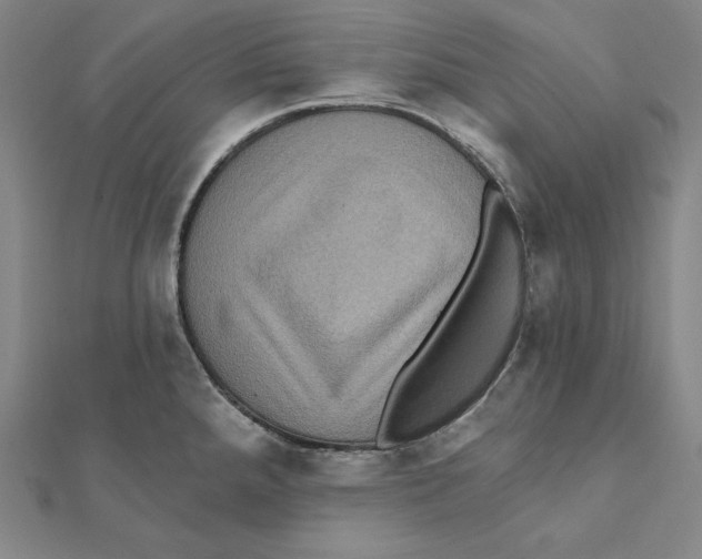 X0000112031288200908311208