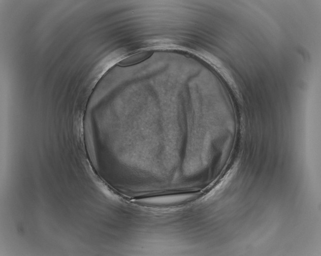 X0000112031289200908311208