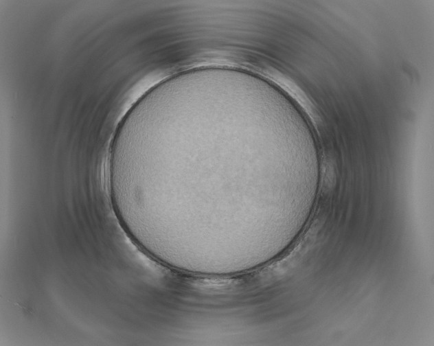 X0000112031290200908311208