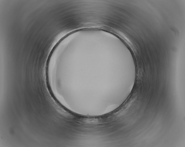 X0000112031291200908311208