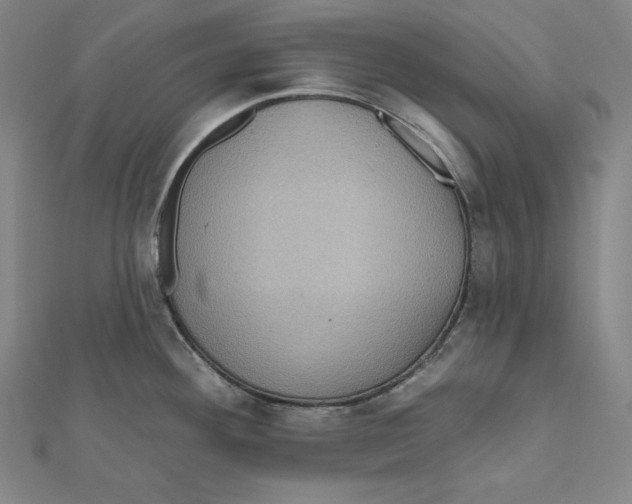 X0000112031292200908311208