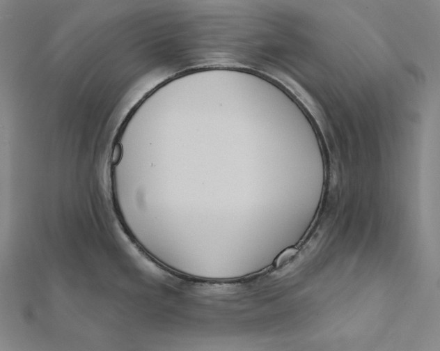X0000112031293200908311208
