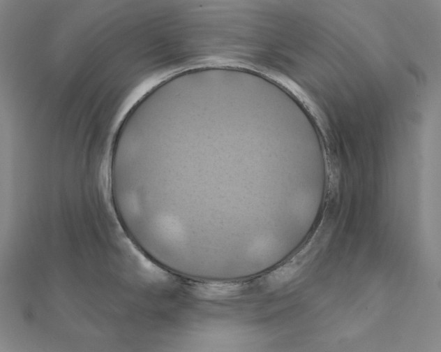 X0000112031294200908311208