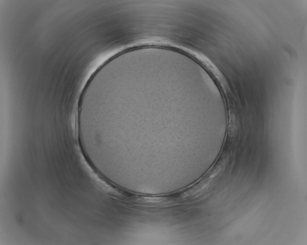 X0000112031295200908311208