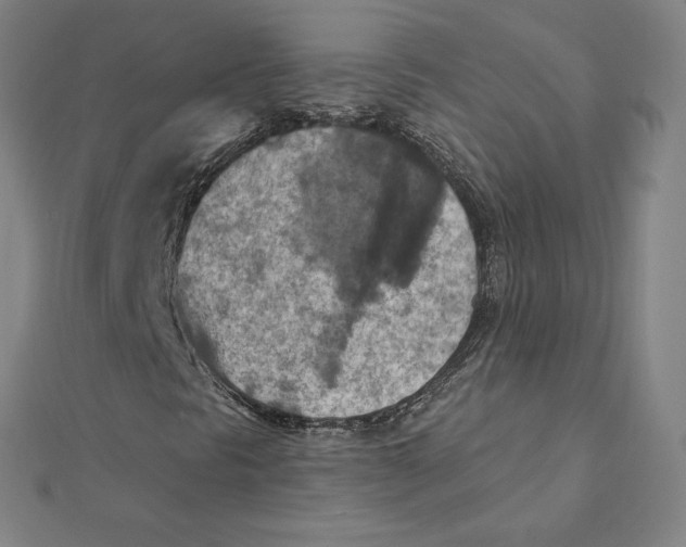 X0000112031297200908311207