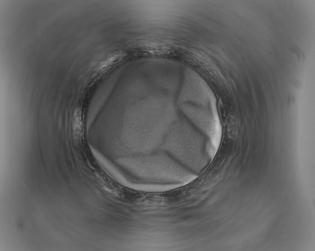 X0000112031298200908311207