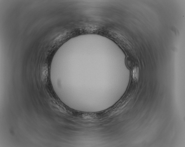 X0000112031299200908311207