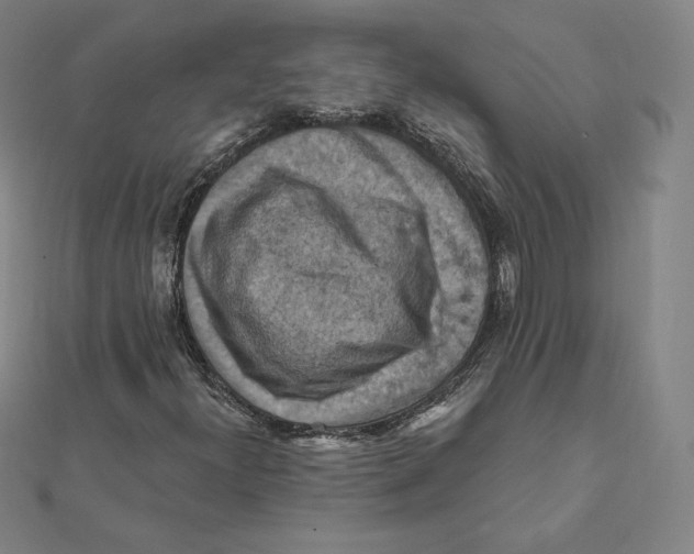 X0000112031300200908311207
